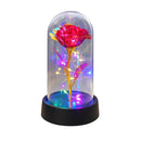 Rosa Eterna - Cúpula Transparente com LED