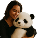 Mimo Panda - Pelúcia - 3 Medidas Disponíveis