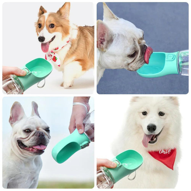 Garrafa de passeio 3 em 1 para cães