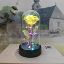 Rosa Eterna - Cúpula Transparente com LED