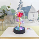 Rosa Eterna - Cúpula Transparente com LED